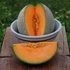 Fresh Kharbuja (Muskmelon)