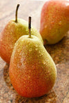 fresh Peaches