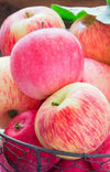 fresh fuji apple
