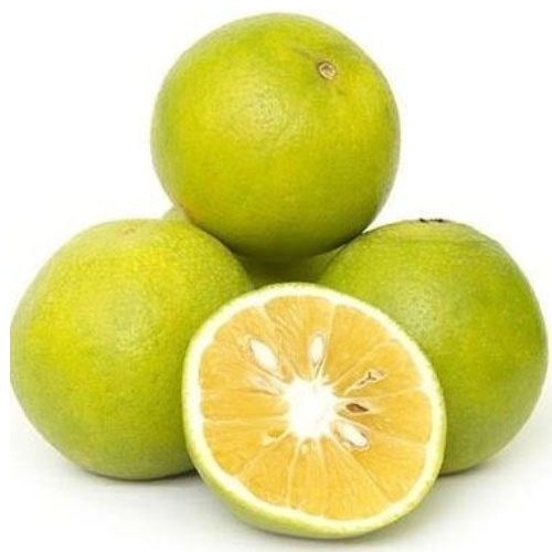 Fresh Jussy Mosambi