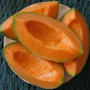 Fresh Kharbuja (Muskmelon)