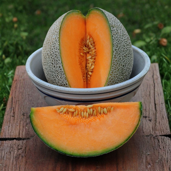 Fresh Kharbuja (Muskmelon)
