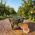 Fresh Orange