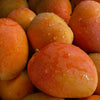 fruitsjii sweet mangos