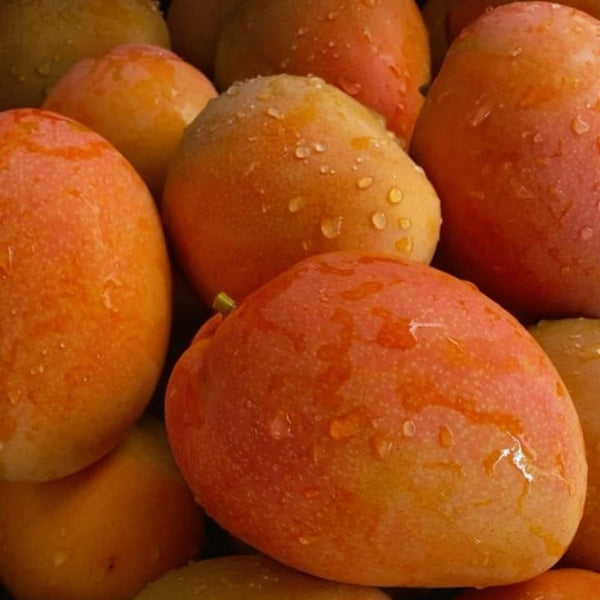 fruitsjii sweet mangos