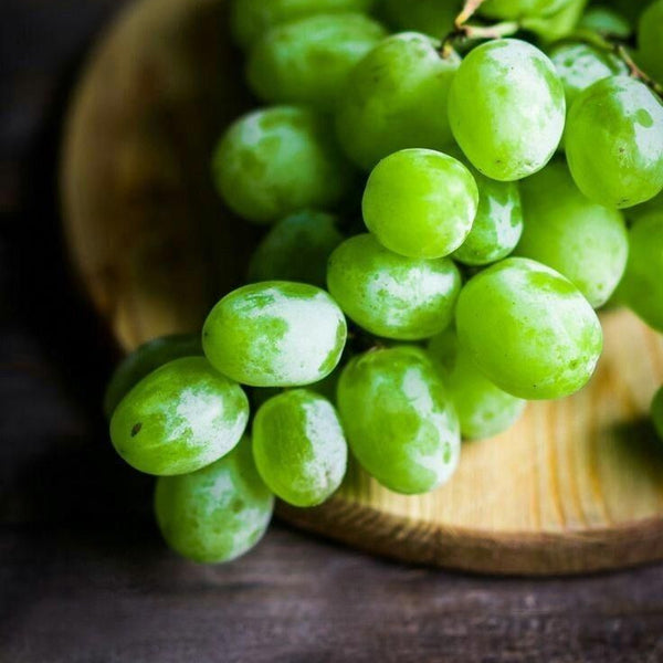 Bursting with Nature’s Candy: Premium Imported Grapes! 🍇