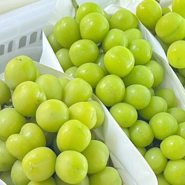 Bursting with Nature’s Candy: Premium Imported Grapes! 🍇
