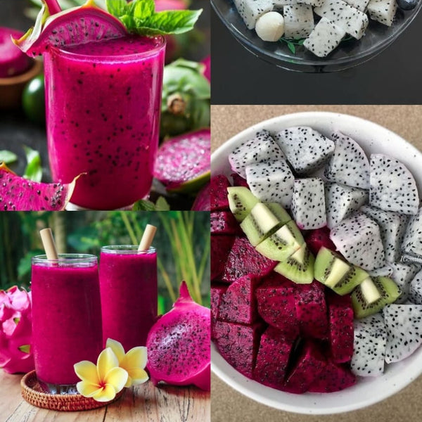 fruitsjii red and sweet dragon fruit,