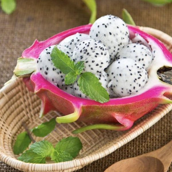 fruitsjii red and sweet dragon fruit,